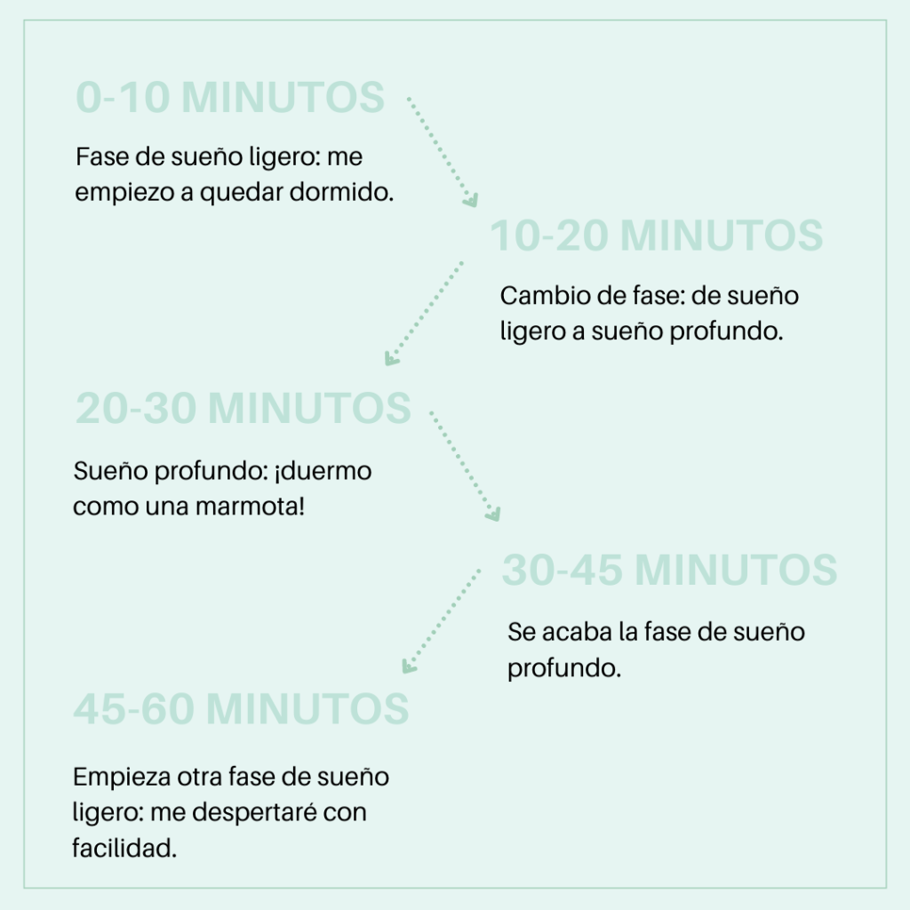 Atención, papás! Por qué este verano necesitáis un cojín nido para