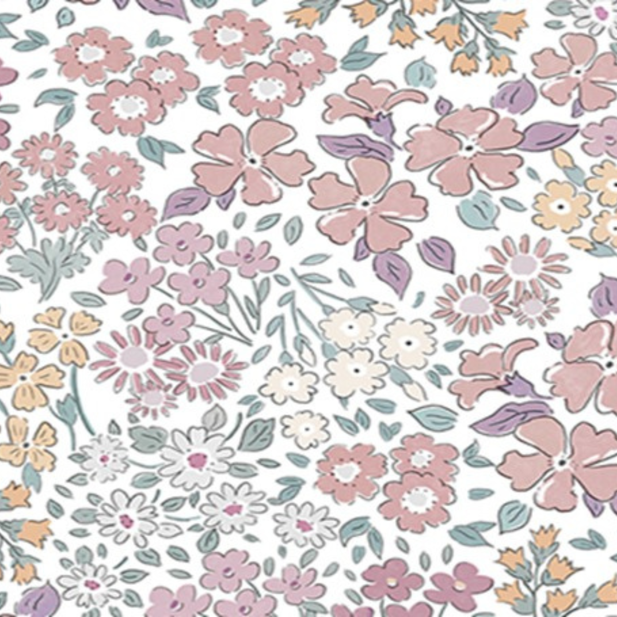 Liberty Rosa