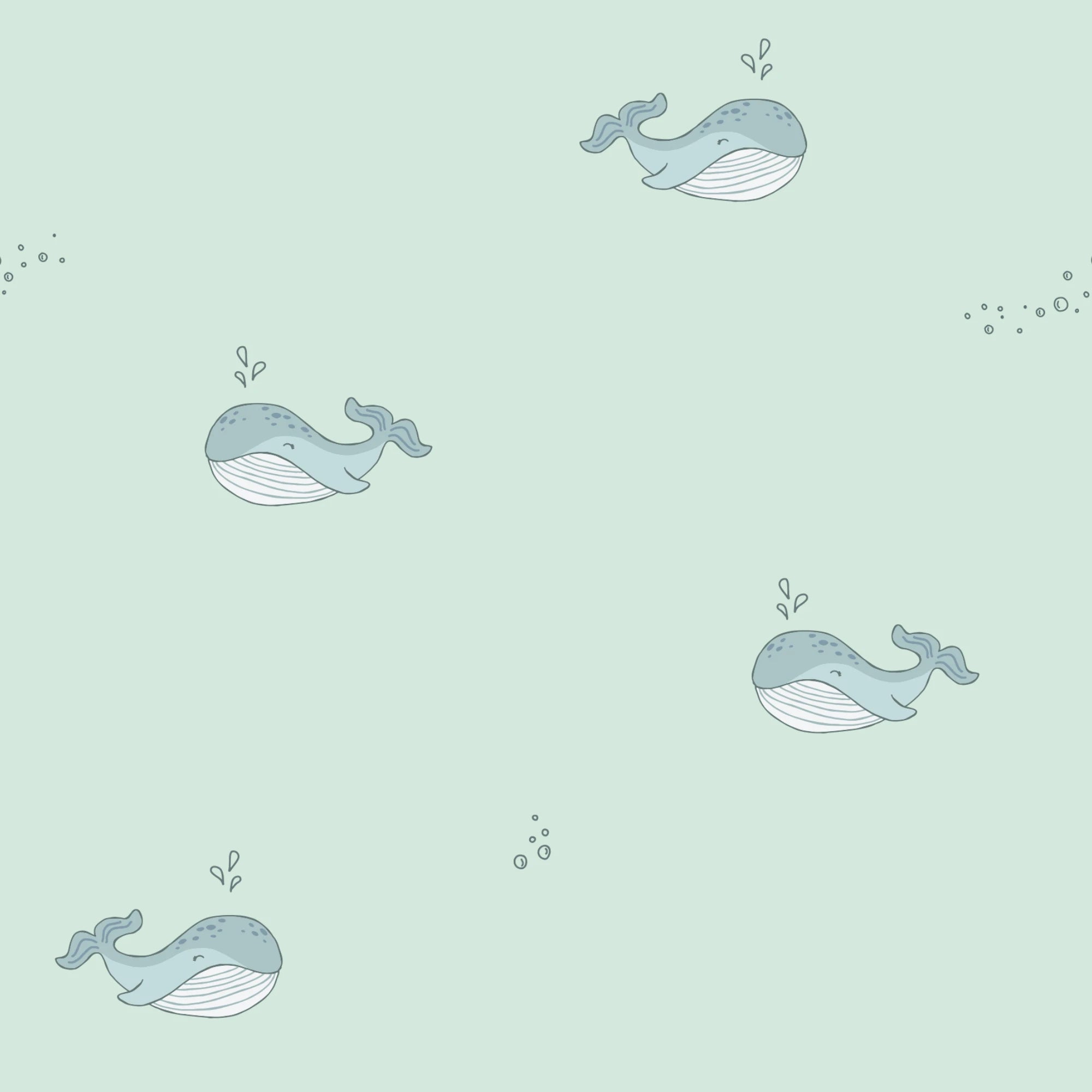 Whales Petite Marmotte