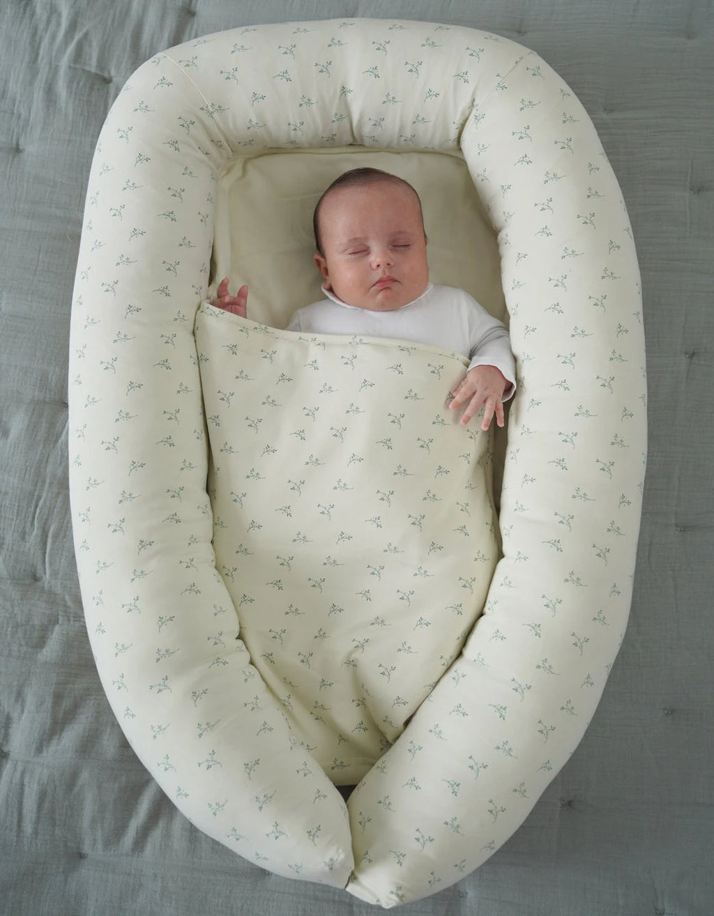 Nido Colecho Olive Cream Petite Marmotte