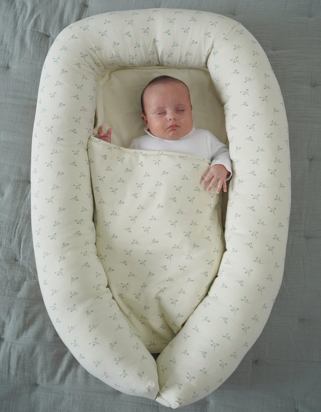 Nido Colecho Olive Cream Petite Marmotte