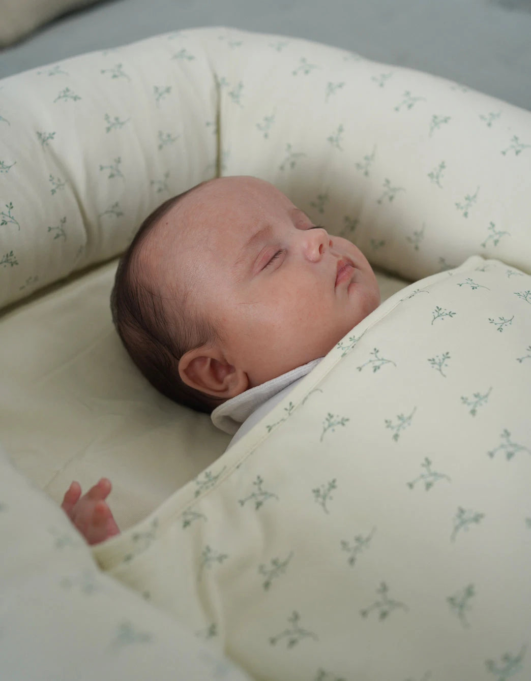 Nido Colecho Olive Cream Petite Marmotte