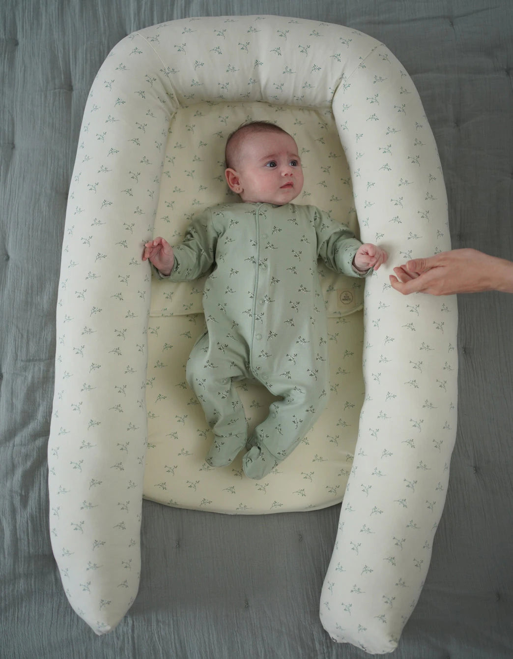 Nido Colecho Olive Cream Petite Marmotte