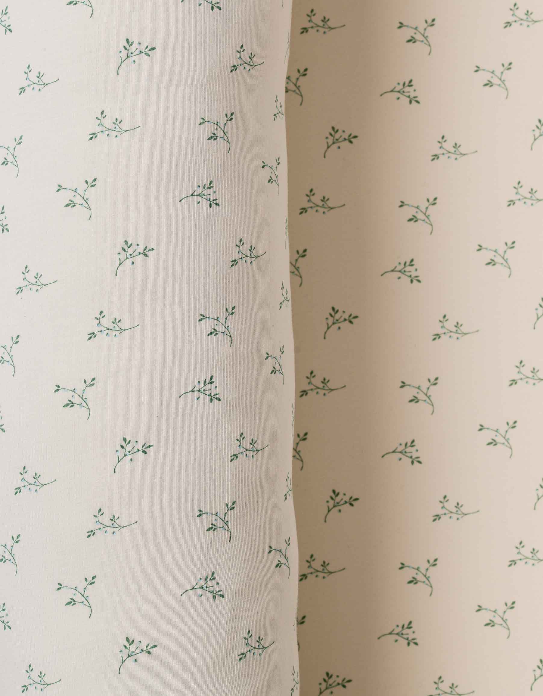 Nido Colecho Olive Cream Petite Marmotte
