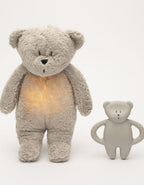 Mordedor Oso Gris