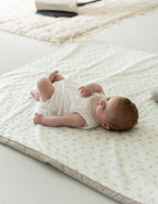 Enrollagateo Olive Cream Petite Marmotte