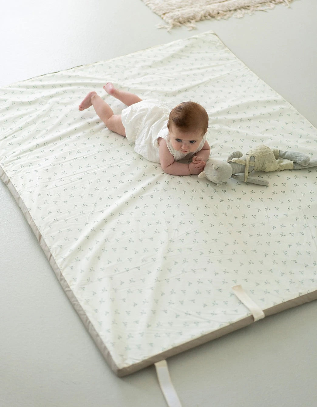 Enrollagateo Olive Cream Petite Marmotte