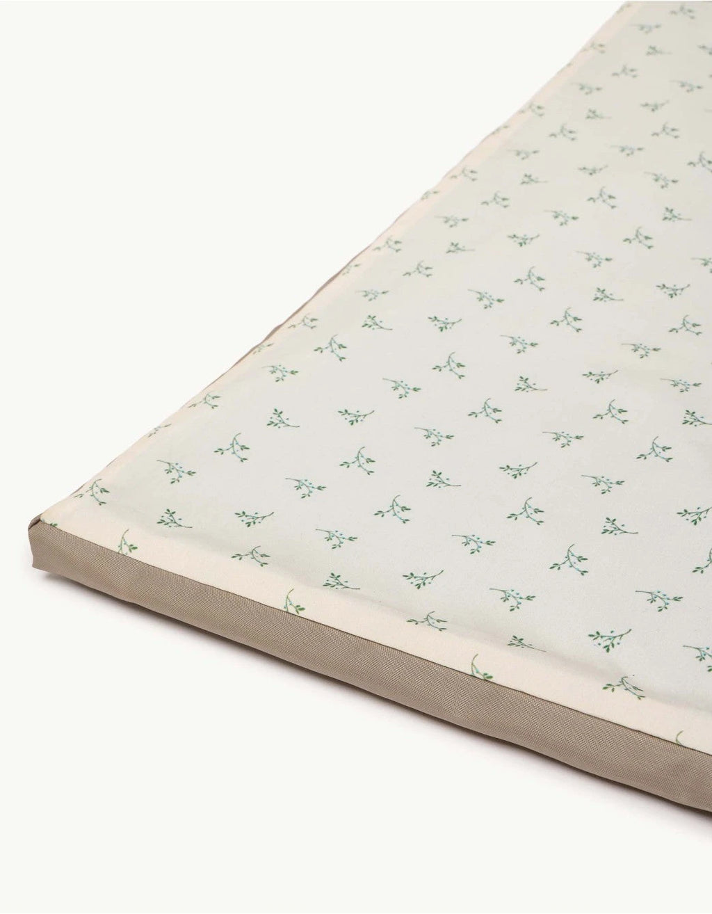 Enrollagateo Olive Cream Petite Marmotte