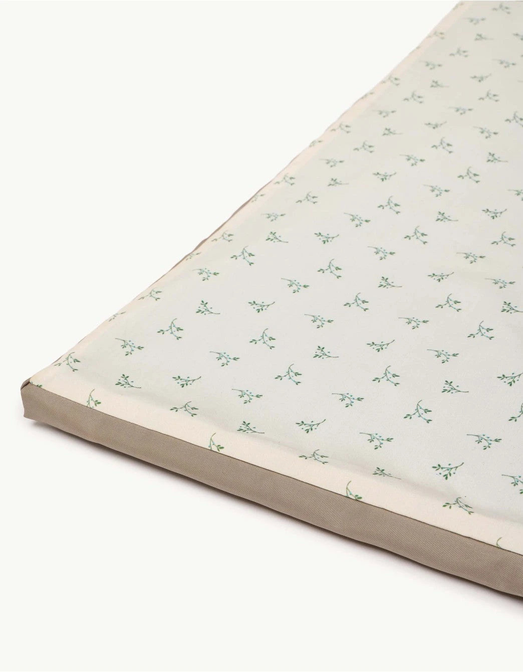 Enrollagateo Olive Cream Petite Marmotte