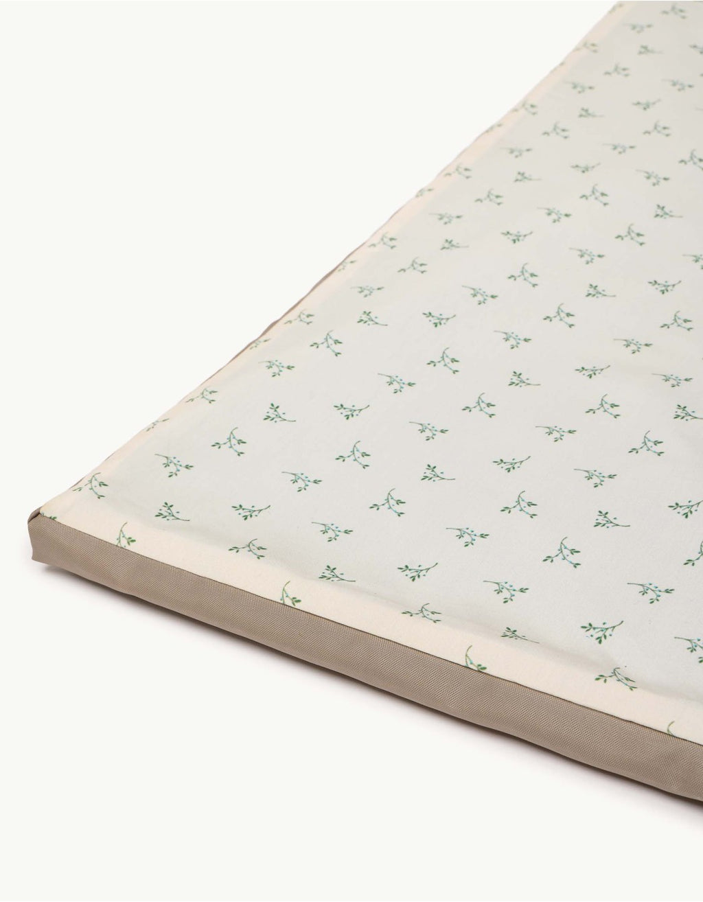 Enrollagateo Olive Cream