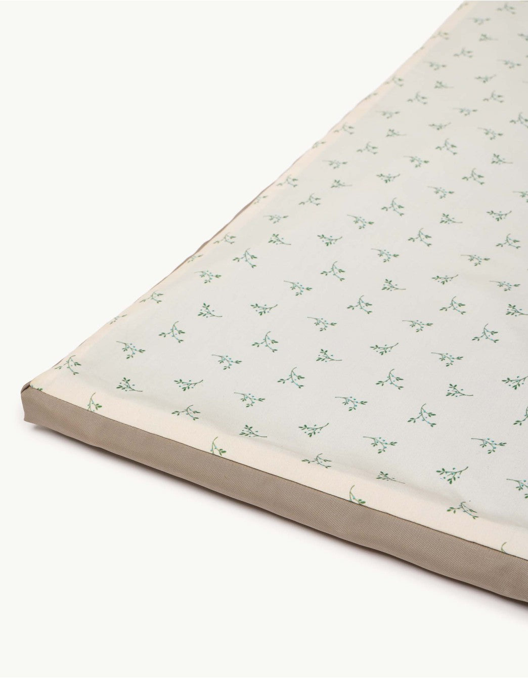 Enrollagateo Olive Cream