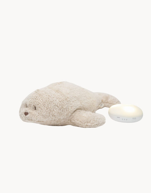 Foca luz-sonido Arena