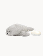 Foca luz-sonido Gris