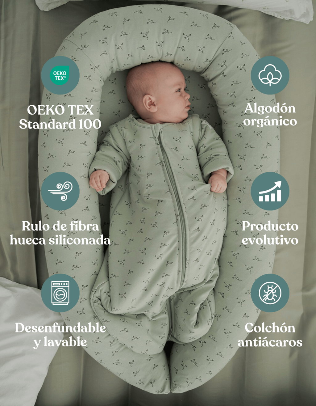 Nido Colecho Olive