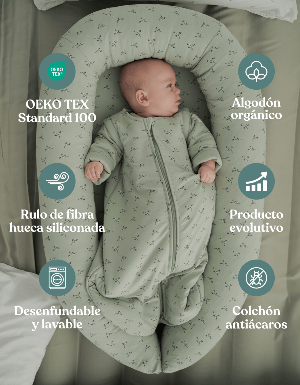 Nido Colecho Olive