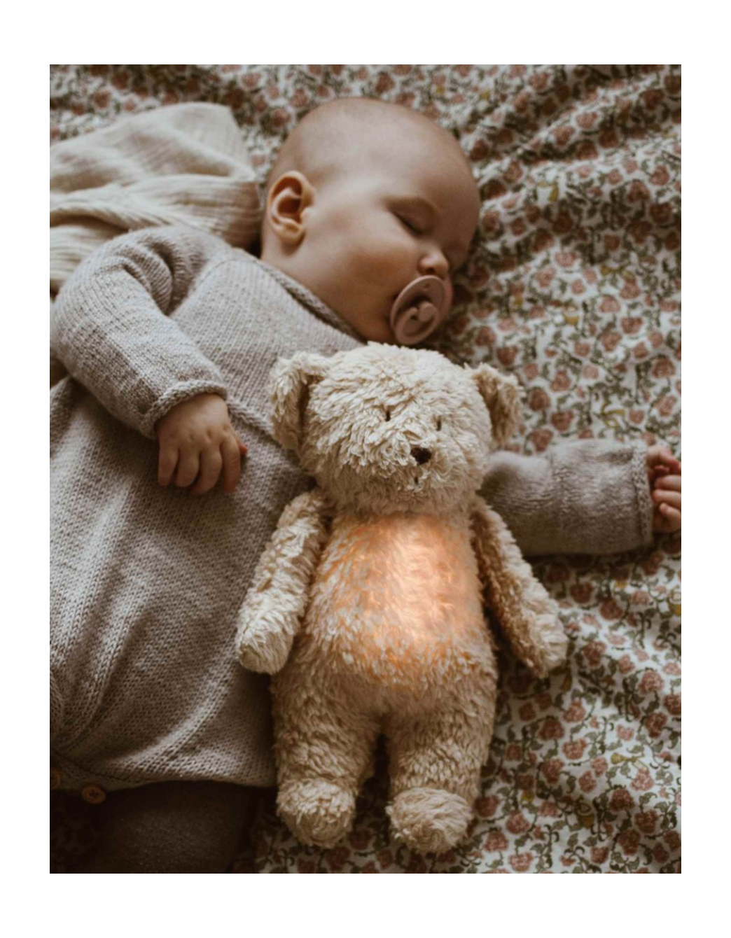 Ours lumière-son Sable