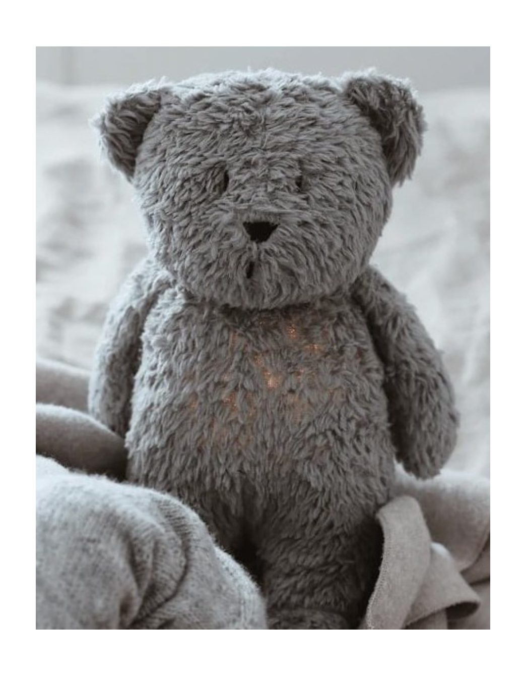 Ours Lumière et Son Gris