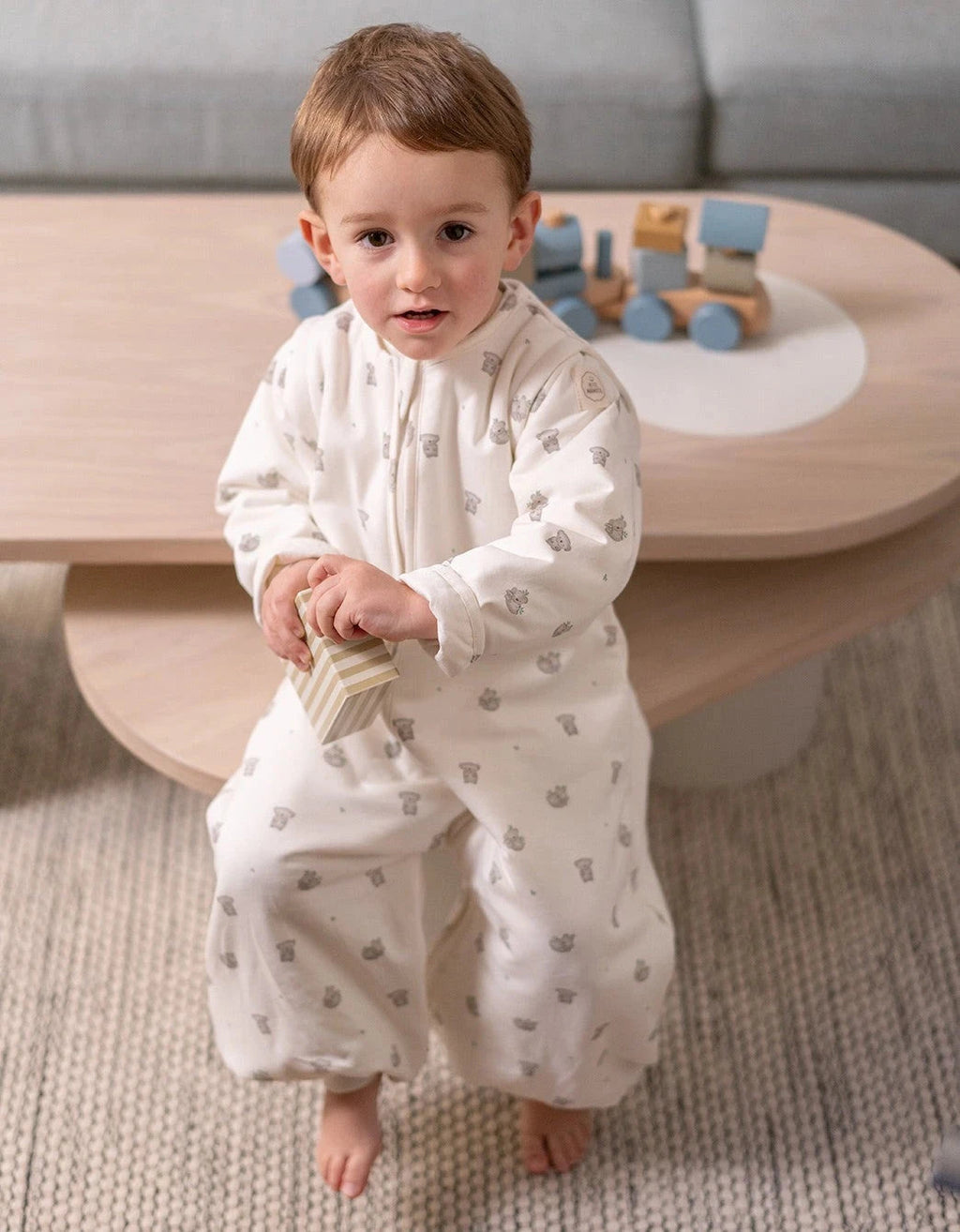 Pijama manta Entretiempo Koalas TOG 1,5 Petite Marmotte