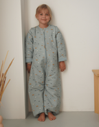 Pijama manta invierno Vehicles TOG 2,5