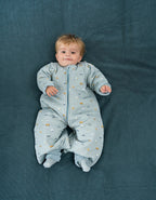 Pijama manta invierno Vehicles TOG 2,5