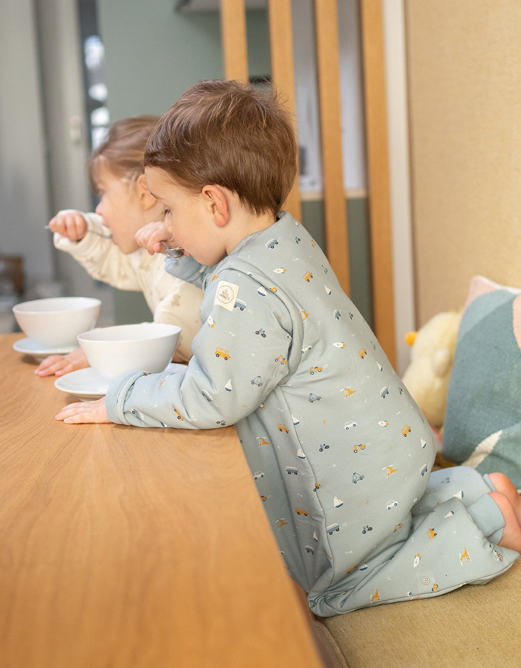 Pijama manta invierno Vehicles TOG 2,5
