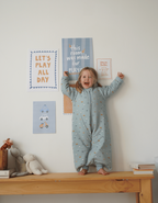 Pijama manta invierno Vehicles TOG 2,5