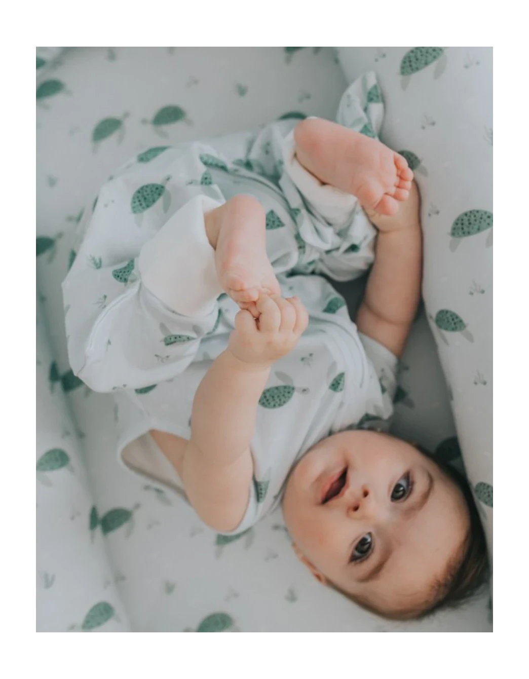 Pijama Tortugas TOG 0,5 Petite Marmotte