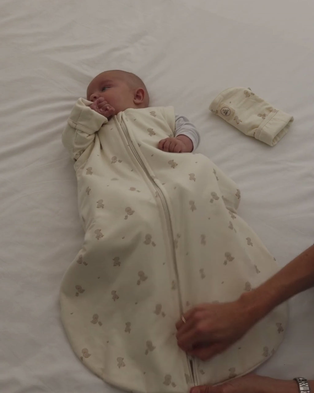 Gigoteuse bébé mi-saison Ducks TOG 1,5